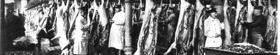 Schwarz-Weiß-Bild eines HamburgerSchlachthofs 1916, hängende Schweinehälften