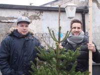 Christoph Möhring (rechts) und Jendrik Bauer mit Weihnachtsbaum